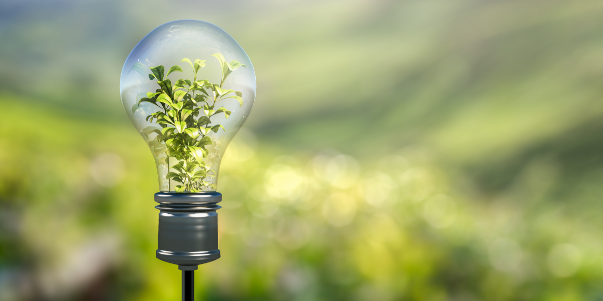 The Future of Food: More Science, More Sustainability, More Transparency