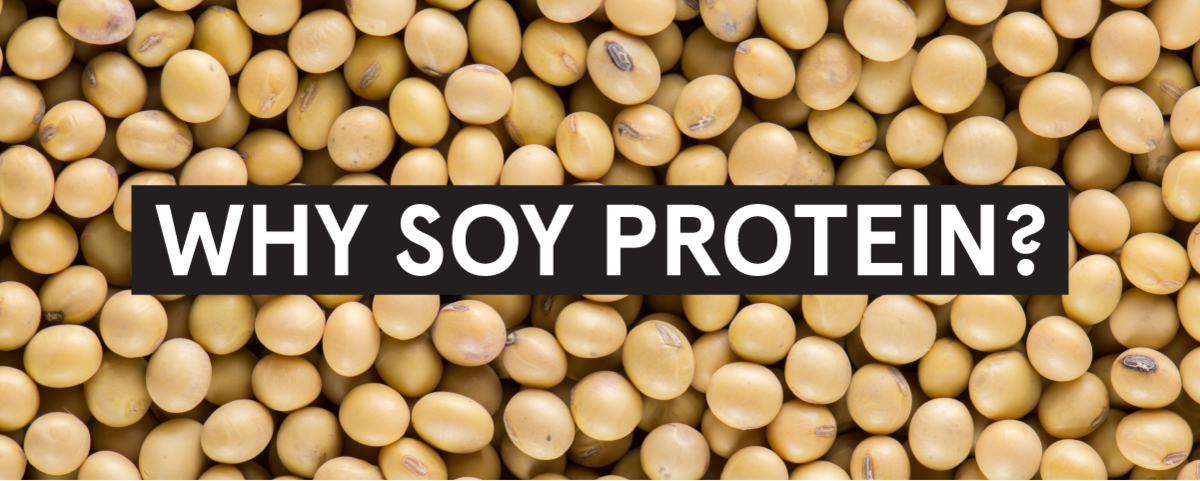 Why Soy Protein?